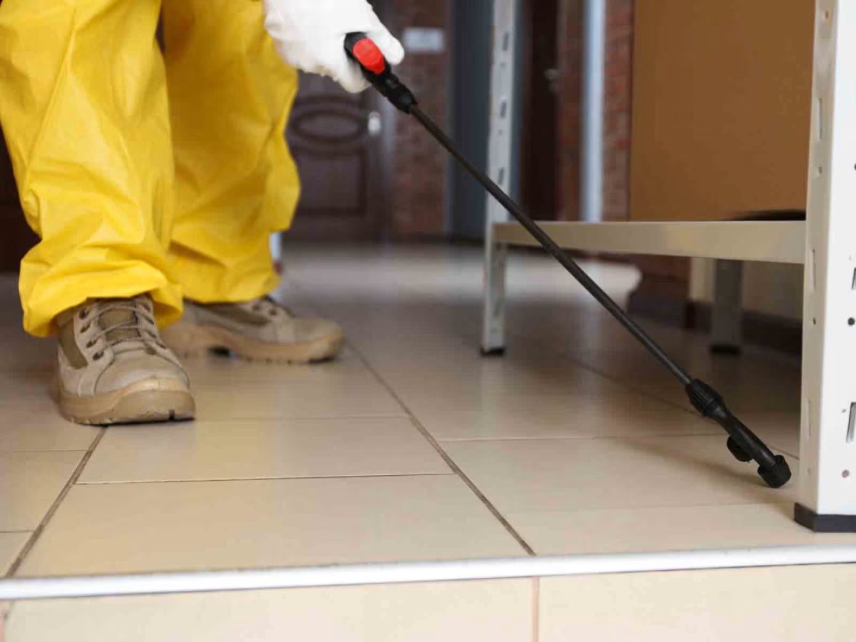 Baseboard pest spray