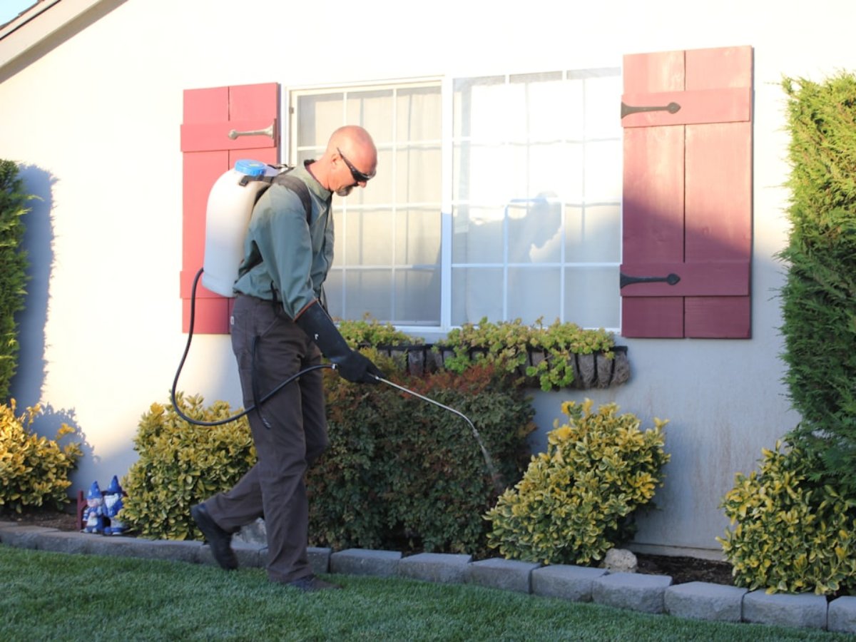 Pest control technician showing eco-friendly product