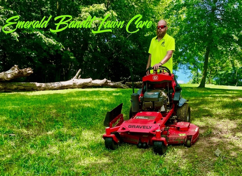 Team member providing detailed lawn care