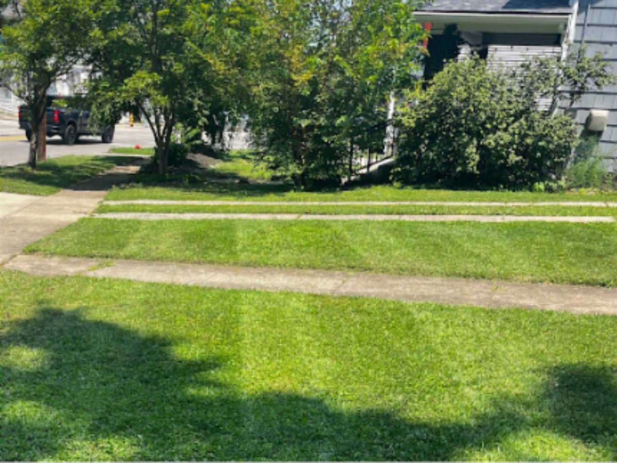 Checklist of lawn care services